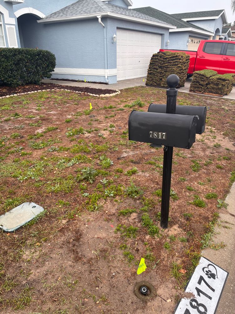 All Photos for Gulf Bay Sod in Clearwater, FL