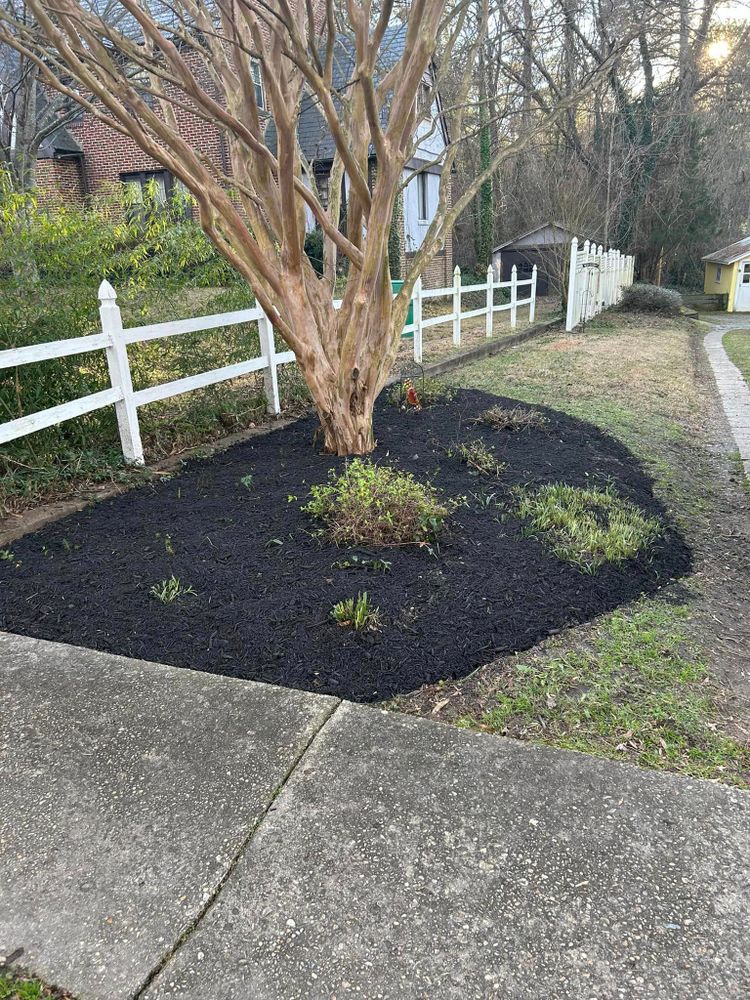 Landscaping for Absolute Lawn Solutions LLC in Sutherland, VA