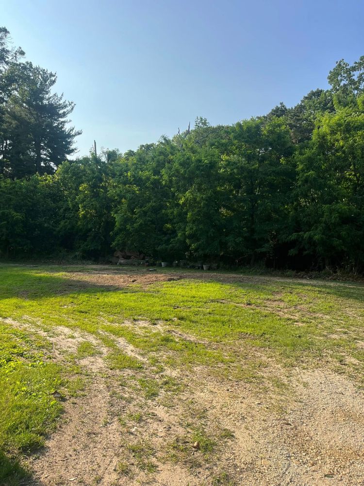 Tree Services for Etherton’s Tree Service in Quinton, NJ