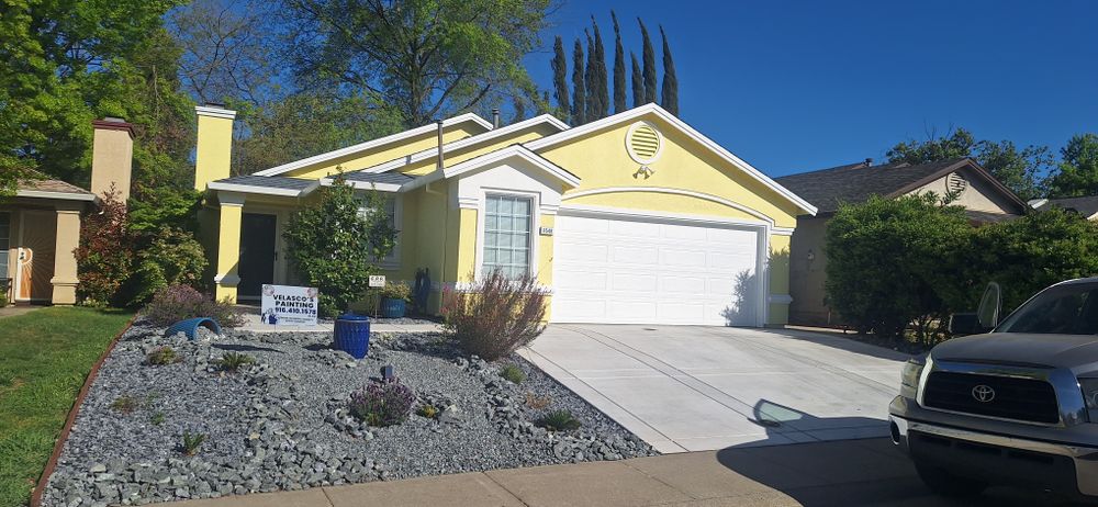 All Photos for Velasco's Painting in Sacramento,  CA