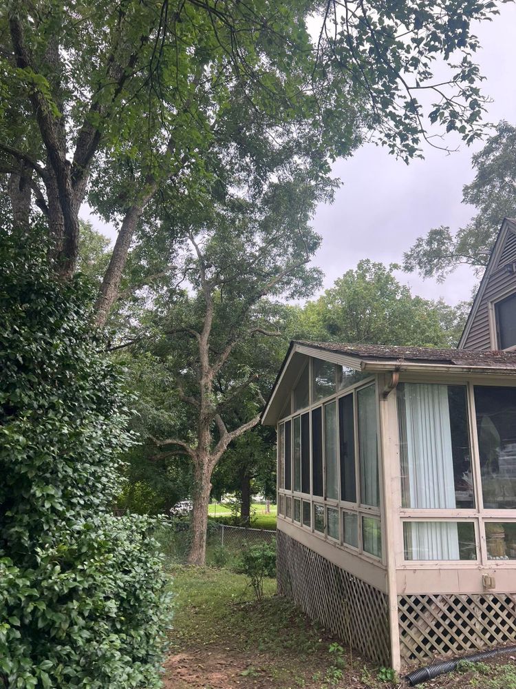 All Photos for Brooks Tree Service in Casar, NC