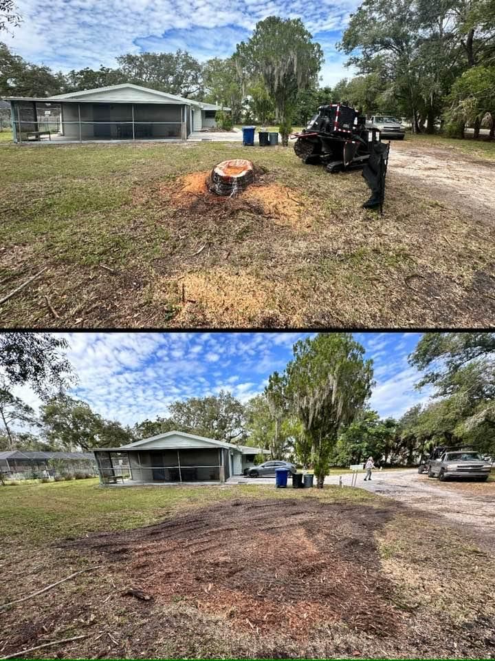 Stump Removal for Adam's Tree and Stump Care in Bradenton, Florida