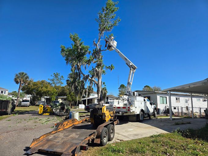 All Photos for Near Me Tree Service, Inc. in DeLand, FL