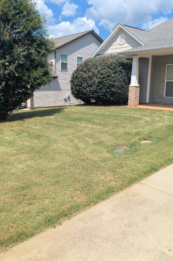 All Photos for Teacher Man Lawn Care in Easley, SC