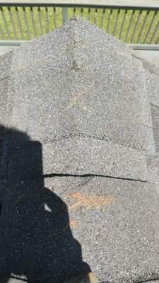 All Photos for Bulldawg Disaster Response in Atlanta, GA