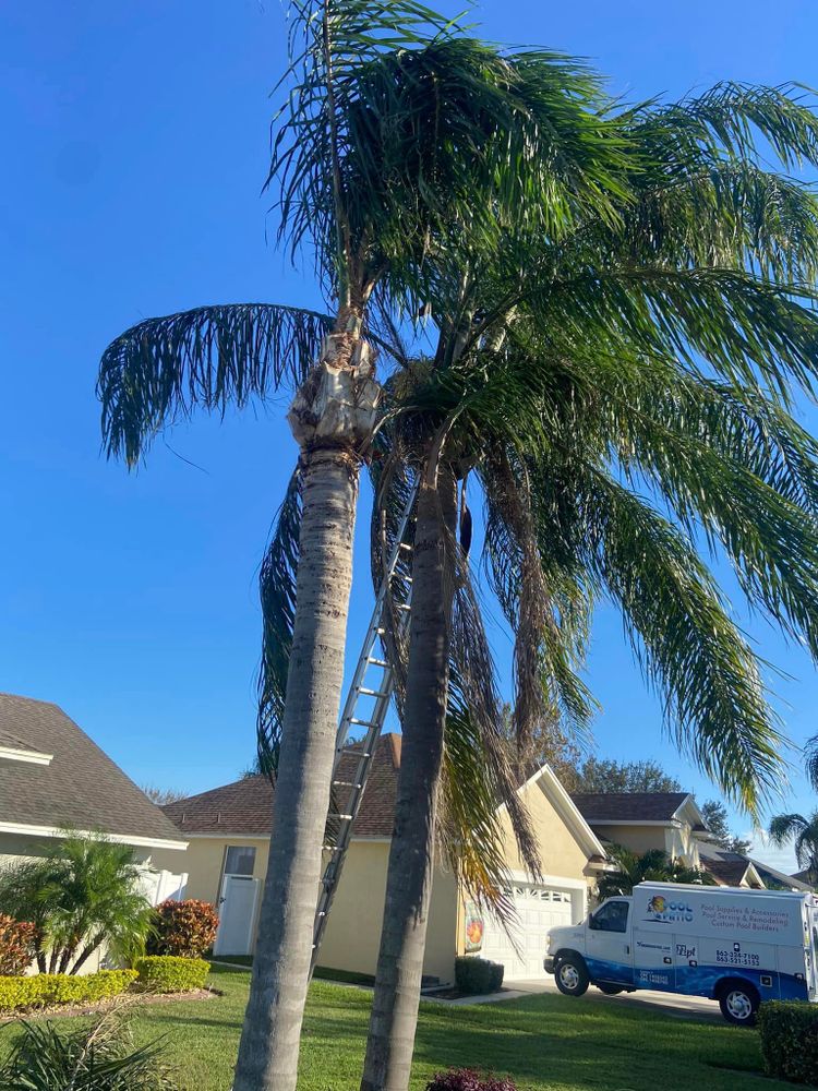 All Photos for Efficient and Reliable Tree Service in Lake Wales, FL