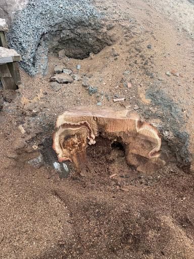 All Photos for Clifford’s Quality Tree Care & Landscaping in Enfield, NH