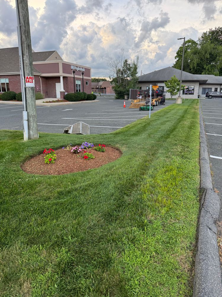 All Photos for Adams Landscaping in Springfield, MA