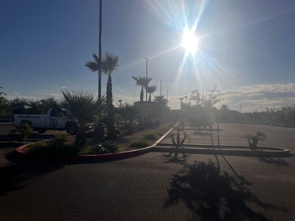 Commercial Gravel Installation for AZ Tree & Hardscape Co in Surprise, AZ