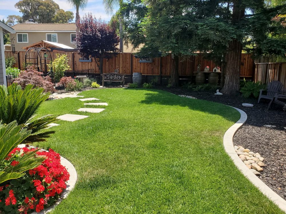 Sod & Irrigation for Martin Stanko Landscape Construction in Livermore, CA