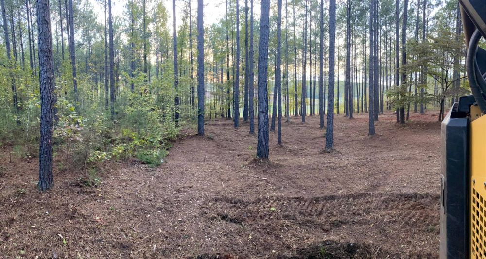 Excavating for Archer Land Management in Macon, GA