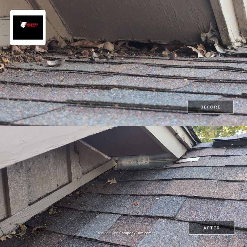 All Photos for Topper's Wildlife Removal in Garland, TX