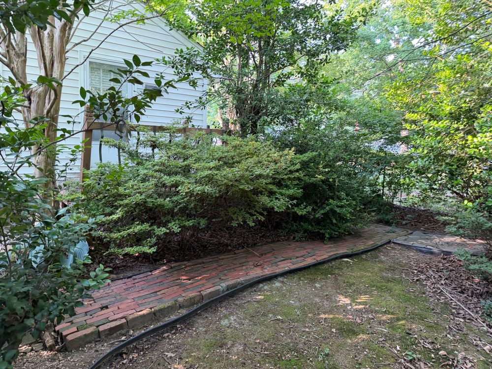All Photos for D&G Pro Cut LLC in Winston-Salem, NC