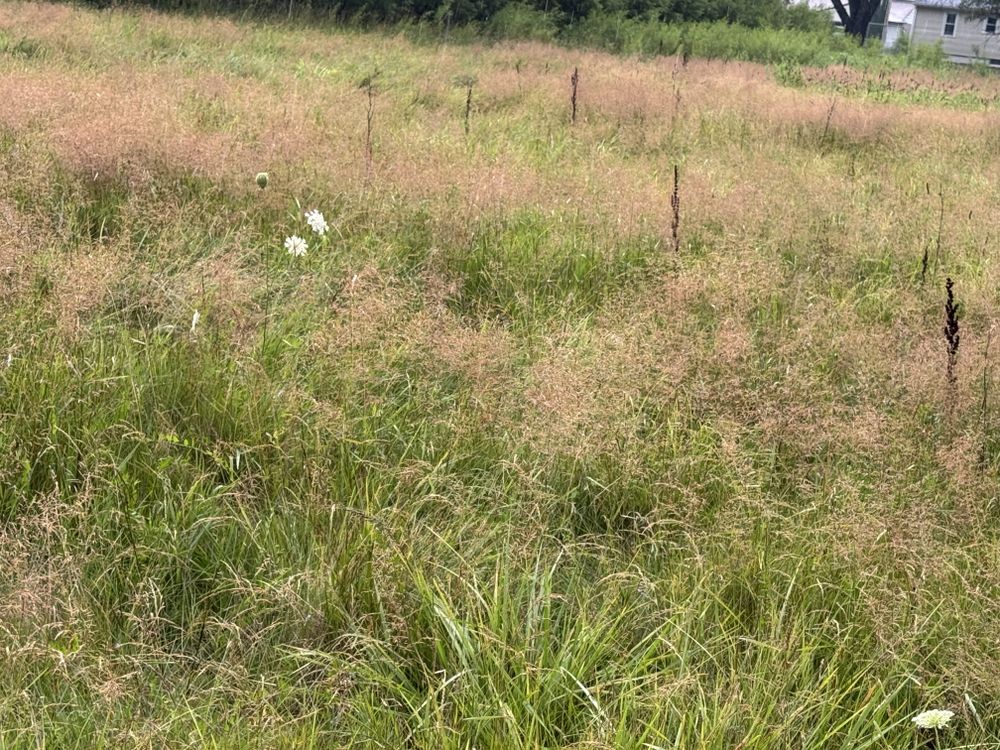 All Photos for Daugherty's Tough Lawn Care in Essexville, MI