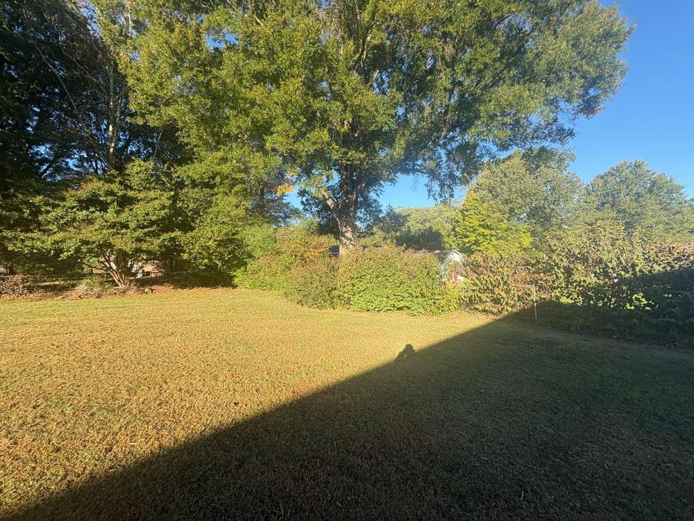 All Photos for Queen’s Landscaping in Kernersville, NC