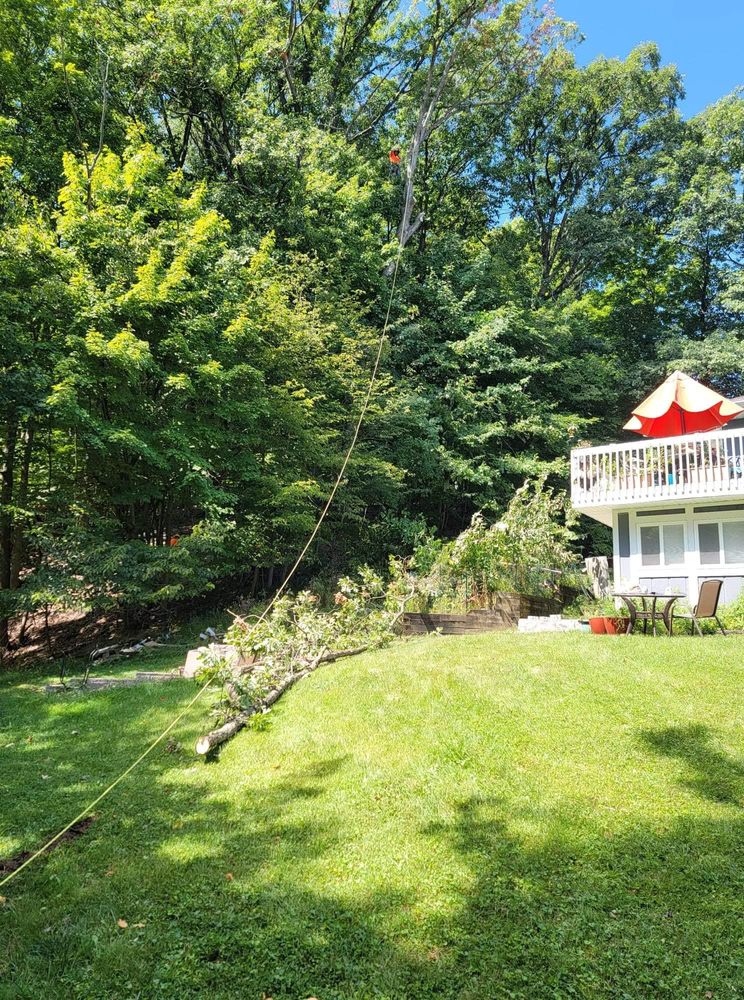 Tree Removal for Highborn Tree Service in Wheatfield, IN