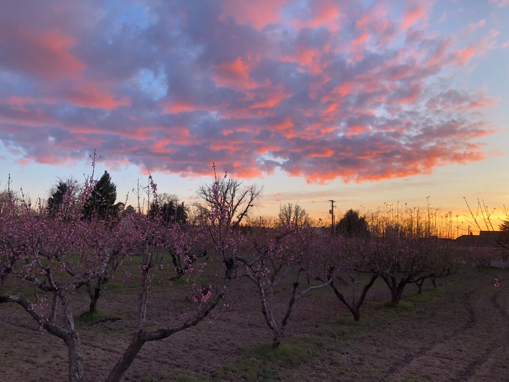 Duncan Yard Services team in Bountiful, UT - people or person