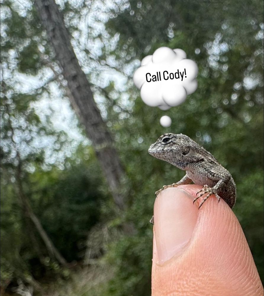 Call Cody LLC team in Lake Mary, FL - people or person
