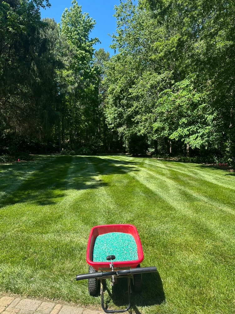 Enhance your lawn's health and vitality with our expert fertilization service, designed to deliver essential nutrients for lush, green grass and robust plant growth tailored specifically for your home's landscape. for Pecina Pine Needles in Monroe, NC