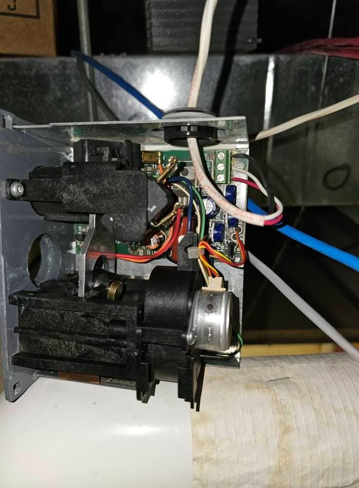 All Photos for The Painter in Citrus Heights, CA