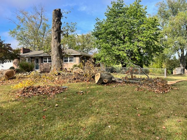 All Photos for Robbie's Lawn Care, LLC in Middletown, OH