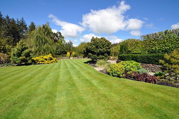 Dm Lawncare service team in Brentwood, TN - people or person