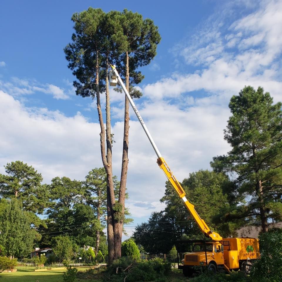 All Photos for ArborMax in Thomaston, GA