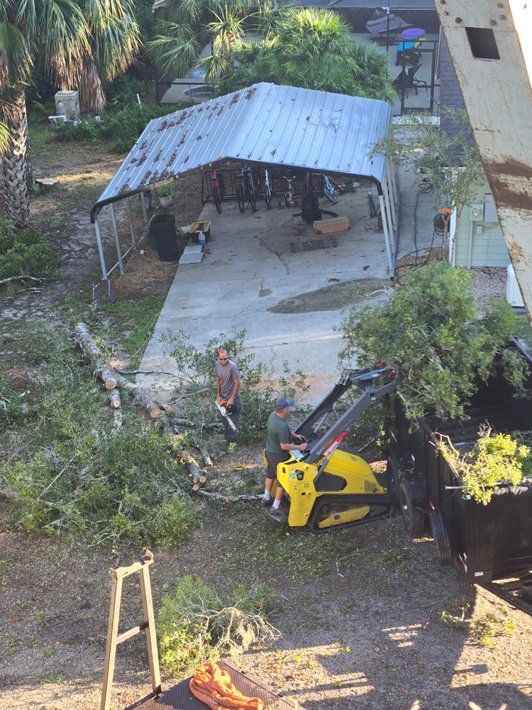 All Photos for Near Me Tree Service, Inc. in DeLand, FL