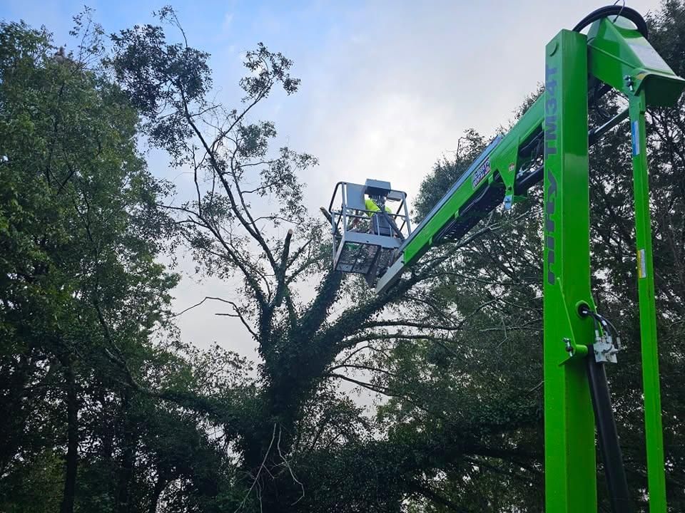 All Photos for O'Connor Clearing and Hauling LLC in Anderson County, SC