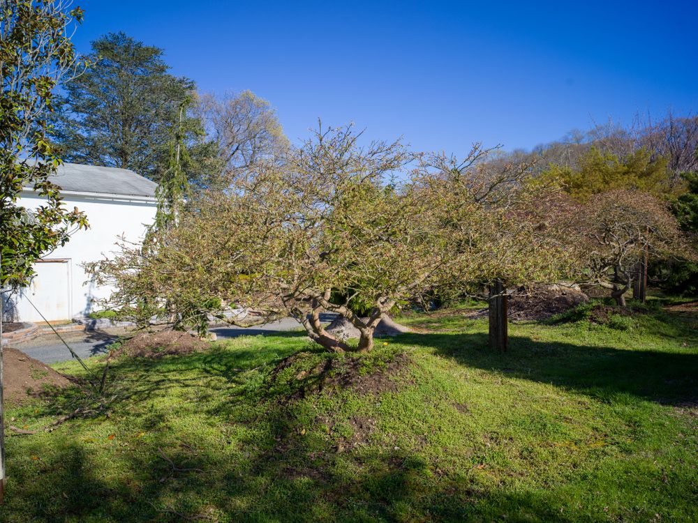 All Photos for  in Morristown, NJ