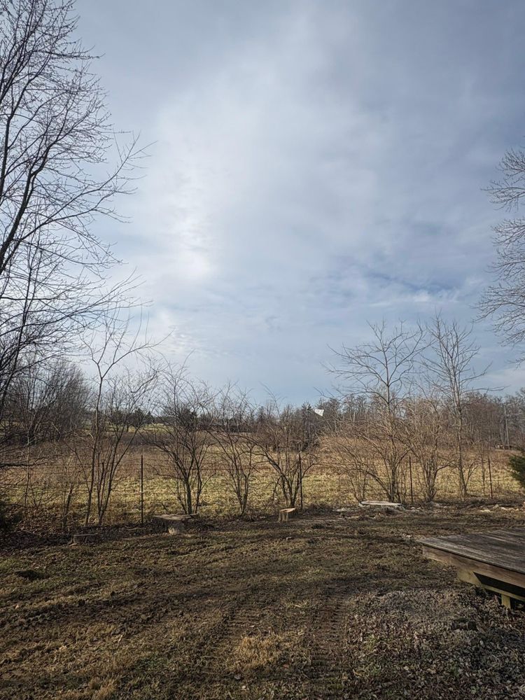 All Photos for Dig-It Tree Company in Mason, OH