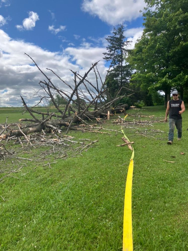 Land Clearing for Brush Busters in Wausau, WI