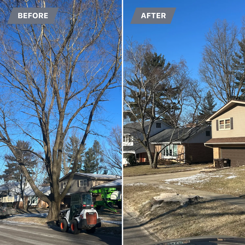 All Photos for Fransen's Tree Service  in Freeport, IL