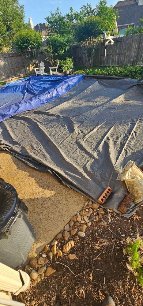 All Photos for Servin's Tree Care  in Houston, TX