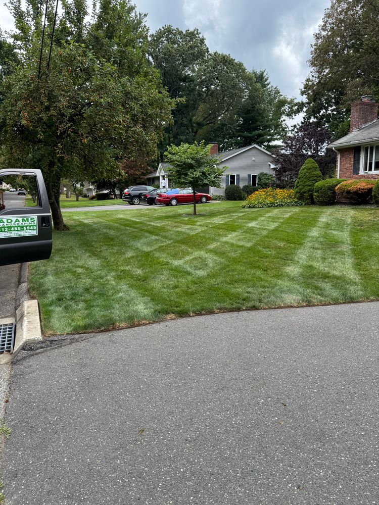 All Photos for Adams Landscaping in Springfield, MA
