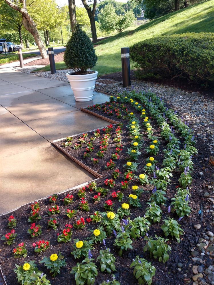 All Photos for Ettere Landscape Services in Flemington, NJ