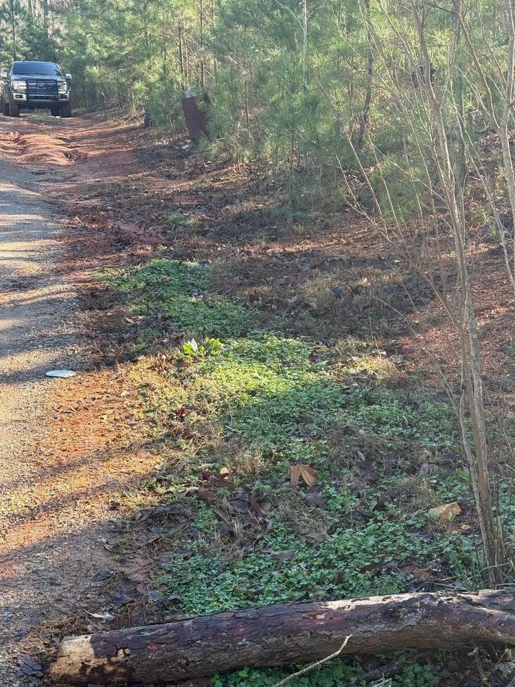 All Photos for Greenwood Lawn & Landscaping LLC in Talladega, Alabama