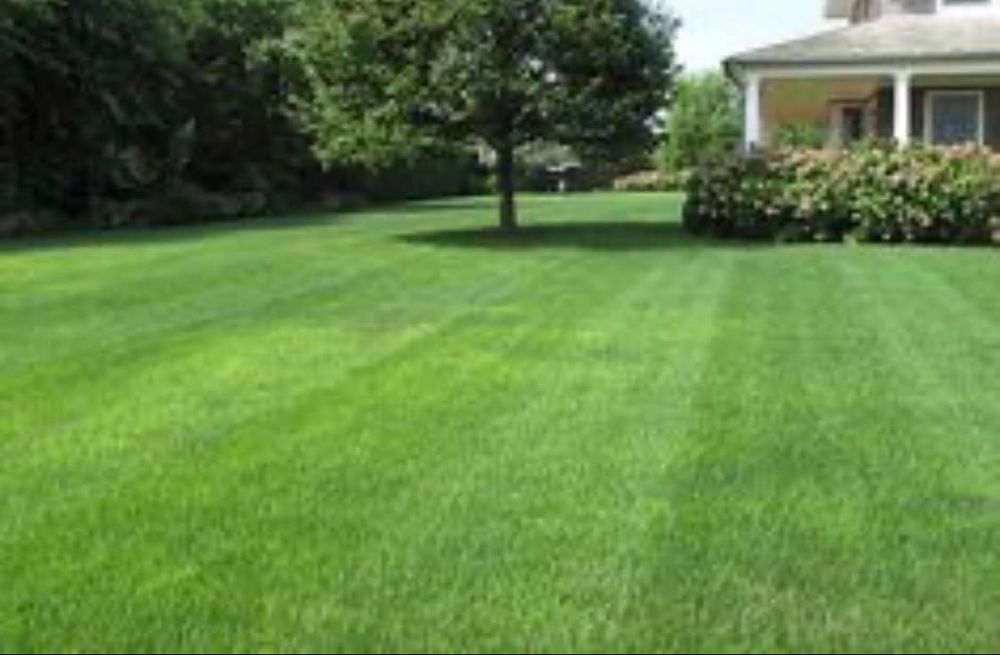 Lawn Care for Bellevue Lawn and Landscaping in Bellevue,  TN