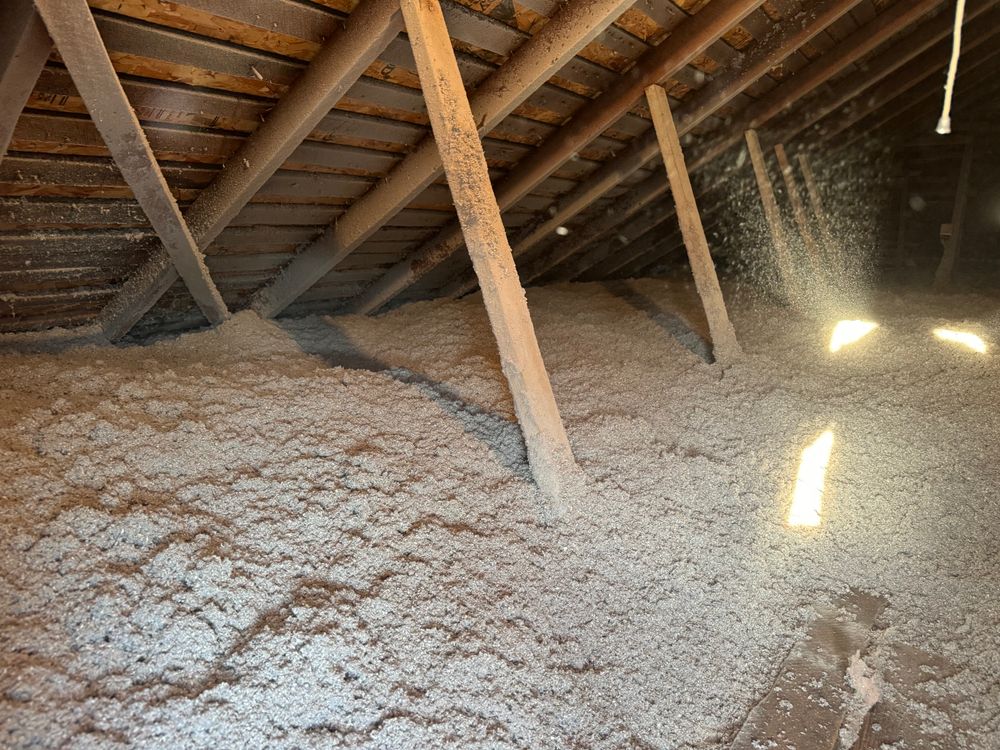 Crawlspace/Attic Renovation  for All-In Pest Control & Home Solutions in Greene County, IN