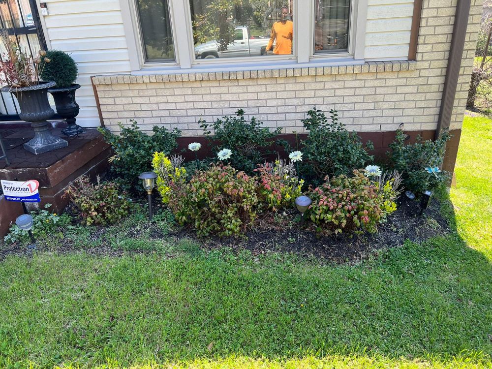 All Photos for Grass Management in Nashville, TN