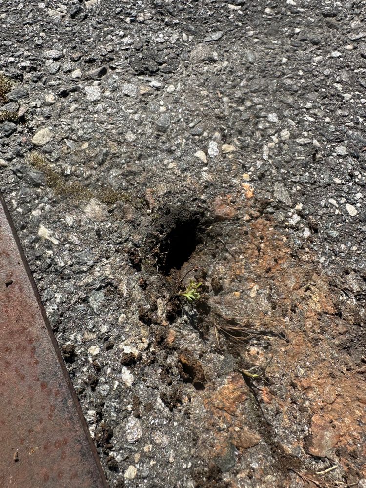 Handyman for The Flip Flop Roofer in Statesville, NC