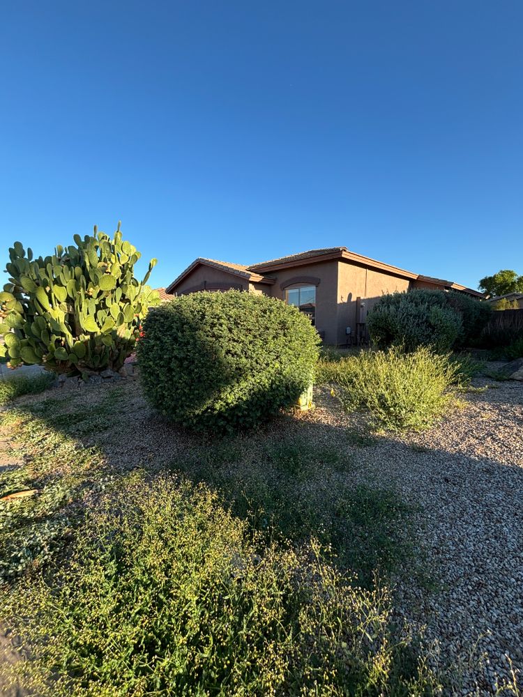 All Photos for Good Hands Landscape in Maricopa, AZ