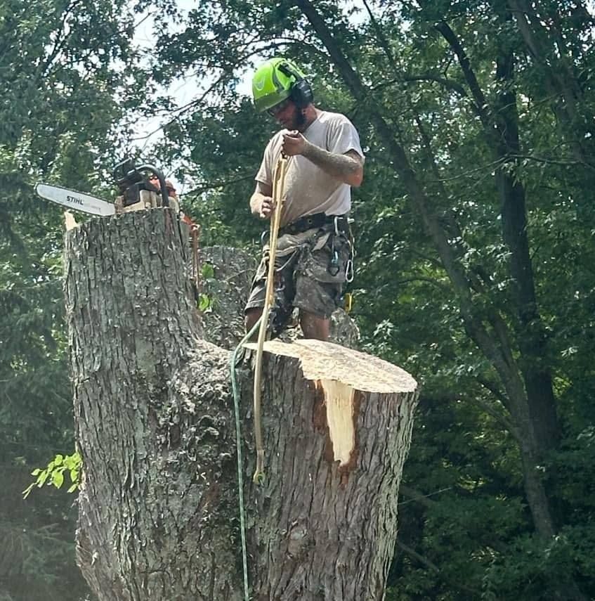 Our professional Tree Removal service safely and efficiently eliminates unwanted trees from your property, enhancing safety, aesthetics, and overall landscape health. Contact us today for a free consultation. for Foxworth Tree Service in Coloma,, MI