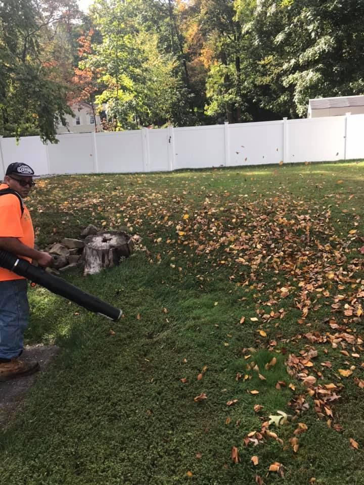 Lawn Care for Castro Landscaping in Orange, NJ