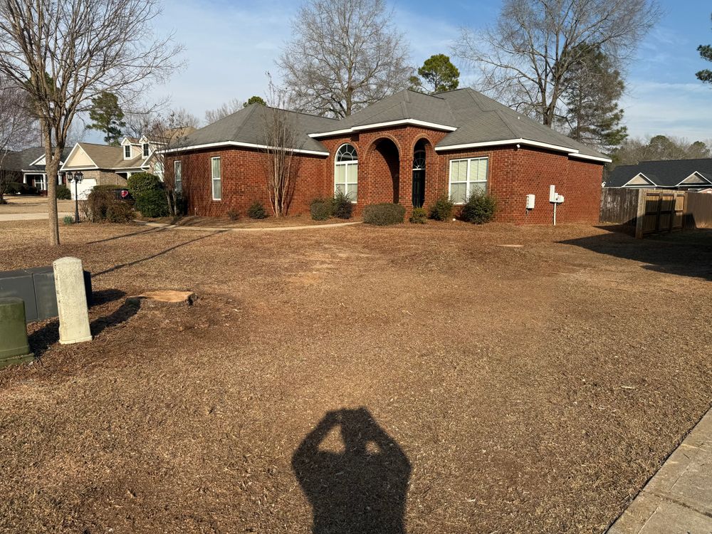 All Photos for T N L - Tree and Land Service in Reynolds, GA