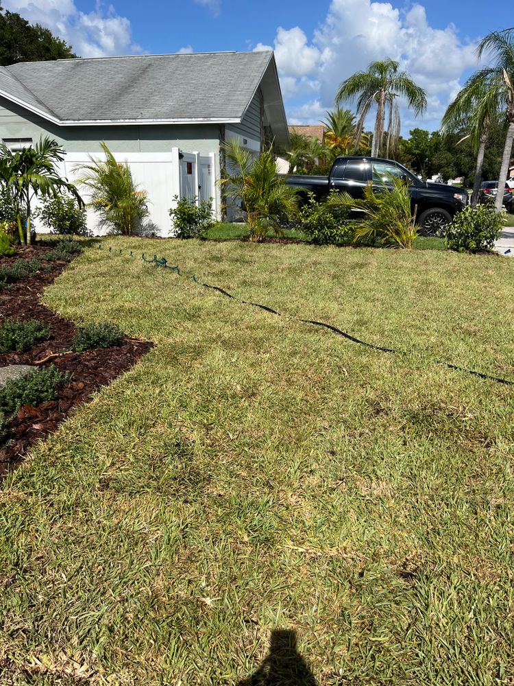 All Photos for Verimay's Garden and Landscaping in Hillsborough County, FL