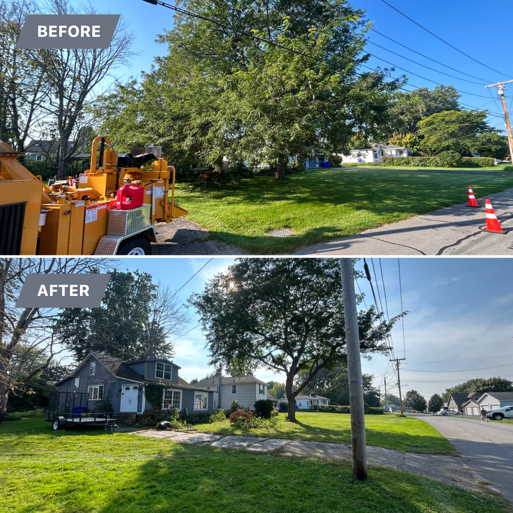 All Photos for S.H. Tree Service LLC in Hilton, NY