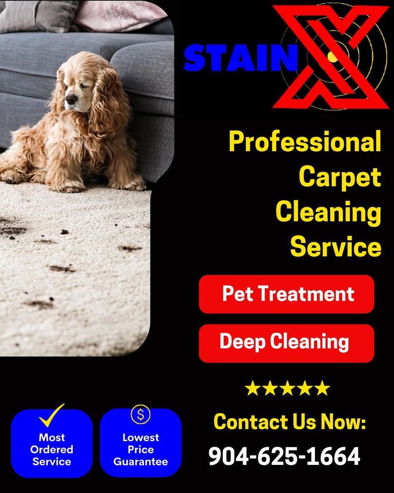 All Photos for Stain X Carpet Cleaning in Jacksonville, FL