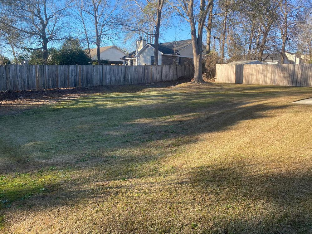 Lawn Care for Cutting Edge Lawn Care in Fayetteville, NC