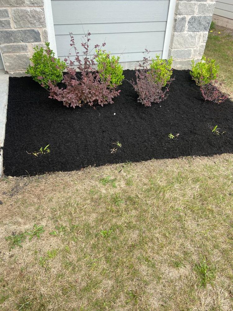 Landscaping for Pina Landscaping in Austin, TX